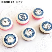 �ۥ磻�ȥǡ��ץ�ޥ�����6�ĥ��å�2025�ʥͥ��ӡ��ǥ�����ˡ���ŵ�̥Хå��դ���[���뤻���ȥ�]