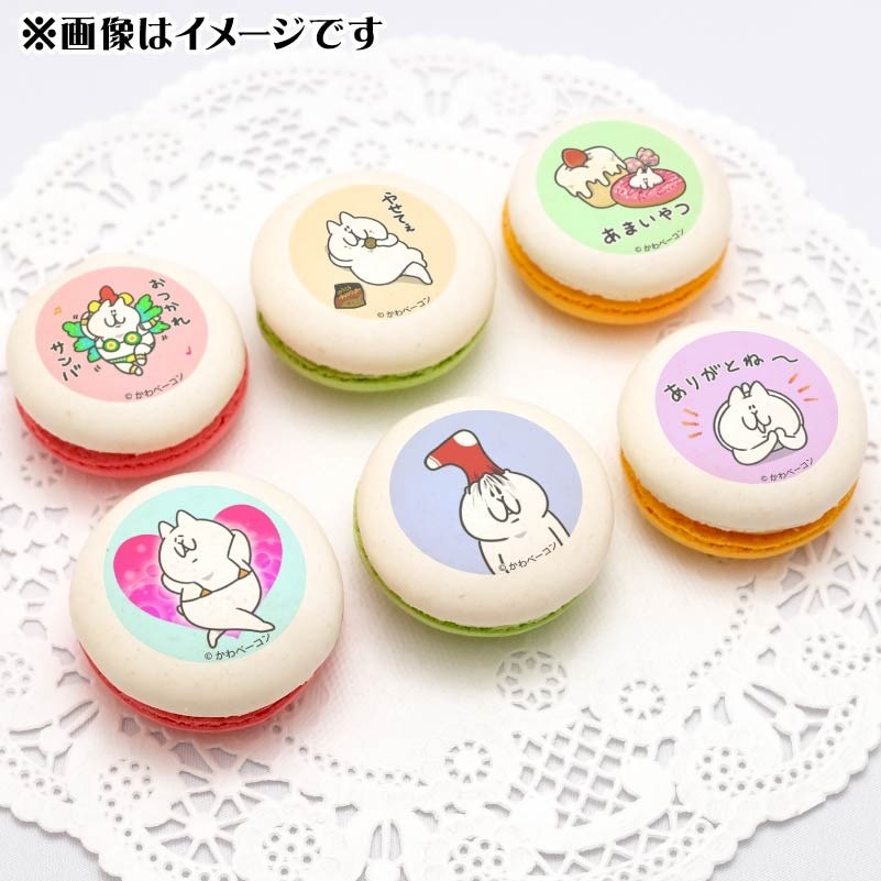 ねこの日プリマカロン6個セット（にゃっちーず）【特典缶バッジ