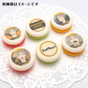 �ץ�ޥ�����6�ĥ��å�2025�ʿ������١ˡ���ŵ�̥Хå��դ���[�ϥ����塼!!]