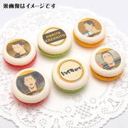 �ץ�ޥ�����6�ĥ��å�2025�����İ�Ρˡ���ŵ�̥Хå��դ���[�ϥ����塼!!]