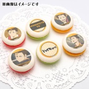 �ץ�ޥ�����6�ĥ��å�2025����ë ͼ�ˡ���ŵ�̥Хå��դ���[�ϥ����塼!!]