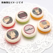 �ץ�ޥ�����6�ĥ��å�2025�ʵ� ���ˡ���ŵ�̥Хå��դ���[�ϥ����塼!!]