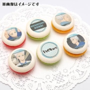 �ץ�ޥ�����6�ĥ��å�2025����������ˡ���ŵ�̥Хå��դ���[�ϥ����塼!!]