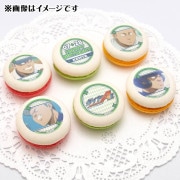 ダイヤのA 御幸一也 缶バッジ 非売品 バレンタイン バースデー プリロール バースデープリケーキ2024（御幸一也）【特典缶バッジ付き