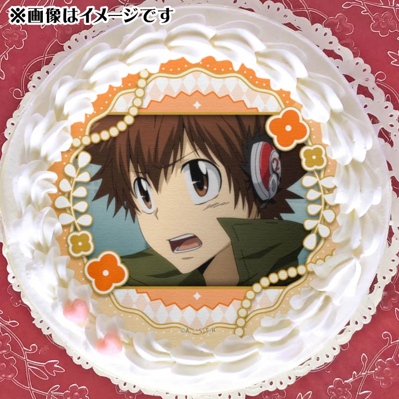 プリロール 沢田綱吉 缶バッジ イースターデザインプリケーキ（沢田綱吉）【特典缶バッジ付き】[家庭