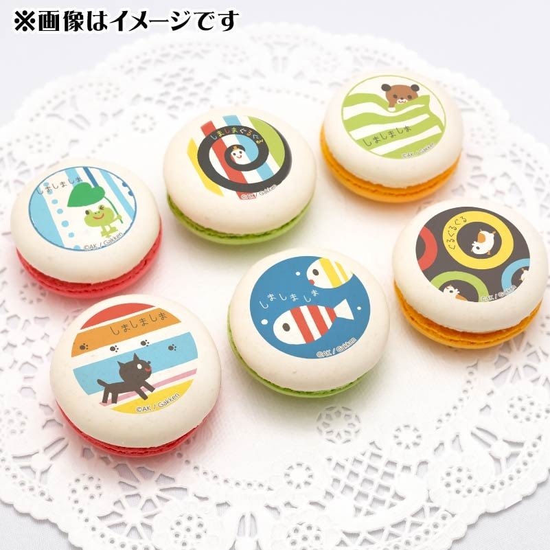 プリマカロン6個セット（しましまぐるぐる）【特典缶バッジ付き