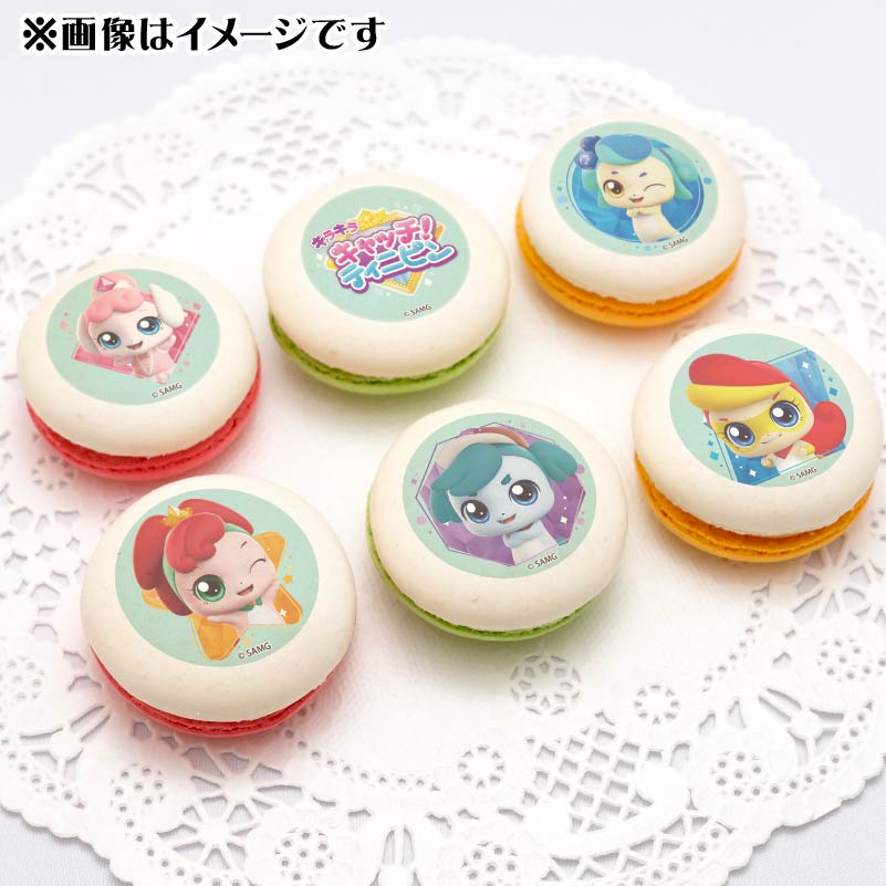 プリマカロン6個セット（バレエピン＆ペアピン＆アゲピン＆ホルピン