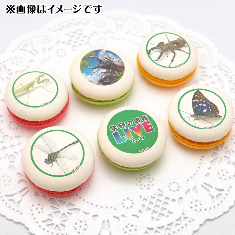 プリマカロン6個セット（昆虫）【特典カードまたは缶バッジ付き】[学研