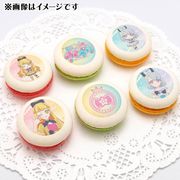 ץޥ6ĥå2025ʤꤢˡŵ̥Хåդ[ҤߤĤΥץ]