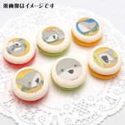 �ץ�ޥ�����6�ĥ��åȡ�B���ˡ���ŵ�̥Хå��դ���[���˥�֤��Ǥ����ҥ����]