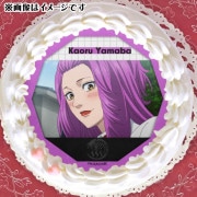 �ץꥱ�����ʻ���������ˡ���ŵ�̥Хå��դ���TV���˥�֥ХХ�ХХ�Х�Х�ѥ�����