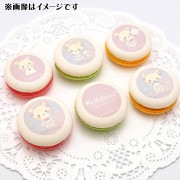 �ץ�ޥ�����6�ĥ��å�2025��B���ˡ���ŵ�̥Хå��դ���[���å���]