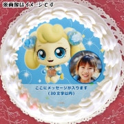 �ڼ̿���å���������ۥץꥱ�����ʥ˥åȥԥ�ˡ���ŵ�̥Хå��դ���[���饭�� ����å����ƥ��˥ԥ�]