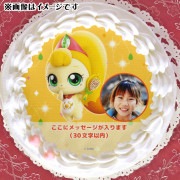 �ڼ̿���å���������ۥץꥱ�����ʥ����ԥ�ˡ���ŵ�̥Хå��դ���[���饭�� ����å����ƥ��˥ԥ�]