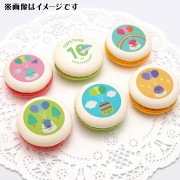 �ץ�ޥ�����6�ĥ��åȡʤȤ줿��10��ǯ��ǰ�ǥ�����ˡ���ŵ̵����[�Ȥ줿��]