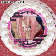 ץꥱʽ(1)ˡŵ̥Хåդ[NARUTO -ʥ-]