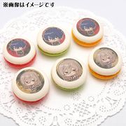 ڤϤ116129ꡦͽ꾦ʡۥץޥ6ĥå2025ʰ ͵ ˡŵ륹ɡ̥Хåդ[TV˥Ꭲŵ]