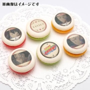 ץޥ6ĥå2025XANXUS(2)ˡŵ̥Хåդ[եҥåȥޥREBORN!]