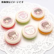 �С����ǡ��ץ�ޥ�����6�ĥ��å�2026�ʥ�ߡˡ���ŵ�̥Хå��դ���[�ޤ��ޤ��ޤ�������]