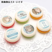 �С����ǡ��ץ�ޥ�����6�ĥ��å�2026�ʥե��ꥹ�ˡ���ŵ�̥Хå��դ���[Re:��������Ϥ�����������]