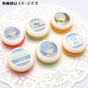 �С����ǡ��ץ�ޥ�����6�ĥ��å�2026�ʥ��ˡ���ŵ�̥Хå��դ���[Re:��������Ϥ�����������]