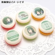 �С����ǡ��ץ�ޥ�����6�ĥ��å�2026�ʥ��륷��ˡ���ŵ�̥Хå��դ���[Re:��������Ϥ�����������]