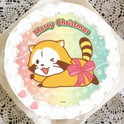 Xmasץꥱ2025ʥܥǥˡŵ̥Хåդ[饹]