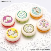 �ץ�ޥ�����6�ĥ��å�2025��3�ơ�B���ˡ���ŵ�̥Хå��դ���[TV���˥�إ���������]