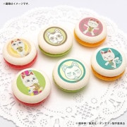 �ץ�ޥ�����6�ĥ��å�2025��3�ơ�A���ˡ���ŵ�̥Хå��դ���[TV���˥�إ���������]