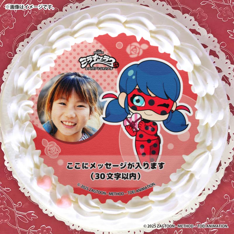 写真メッセージ入り】プリケーキ2025第1弾（レディバグ（ミニキャラ