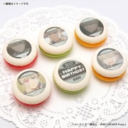 Сǡץޥ6ĥå2025ʳ ϡˡŵ̥Хåդ[WIND BREAKER]