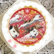 Xmas�ץꥱ����2025����ŵ�̥Хå��դ���[�˥㥤�ȡ����֡�������ӥ󥰥���å�]