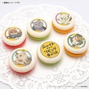 �ץ�ޥ�����6�ĥ��åȡʥ��˥�ǭ���᥿��إåɡ�����ǭ���ǥ�����������������ǭ�ˡ���ŵ�̥Хå��դ���[�˥㥤�ȡ����֡�������ӥ󥰥���å�]