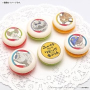 �ץ�ޥ�����6�ĥ��åȡʥ��硼�󥺡�����������������ܥ�ȡ��ҥ�ץΥ����˥奯���ˡ���ŵ�̥Хå��դ���[�˥㥤�ȡ����֡�������ӥ󥰥���å�]