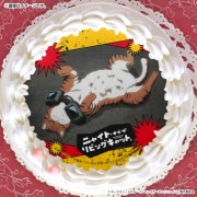 �ץꥱ�����ʥ�������ˡ���ŵ�̥Хå��դ���[�˥㥤�ȡ����֡�������ӥ󥰥���å�]