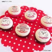 �Х�󥿥���ץ�ޥ�����6�ĥ��å�2026�ʤ���������ˡ���ŵ�̥Хå��դ���[��å����������]