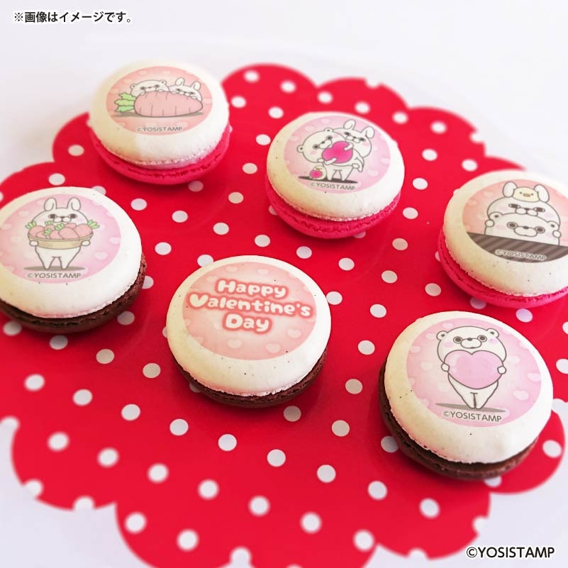 バレンタインプリマカロン6個セット2026（うさぎさん＆くまさん
