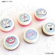 �ۥ磻�ȥǡ��ץ�ޥ�����6�ĥ��å�2026�ʤ��ޤ���ˡ���ŵ�̥Хå��դ���[��å����������]