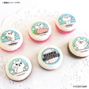 �ۥ磻�ȥǡ��ץ�ޥ�����6�ĥ��å�2026�ʤ���������ˡ���ŵ�̥Хå��դ���[��å����������]