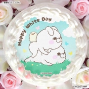 �ۥ磻�ȥǡ��ץꥱ����2026�ʤ�������������ޤ���ˡ���ŵ�̥Хå��դ���[��å����������]