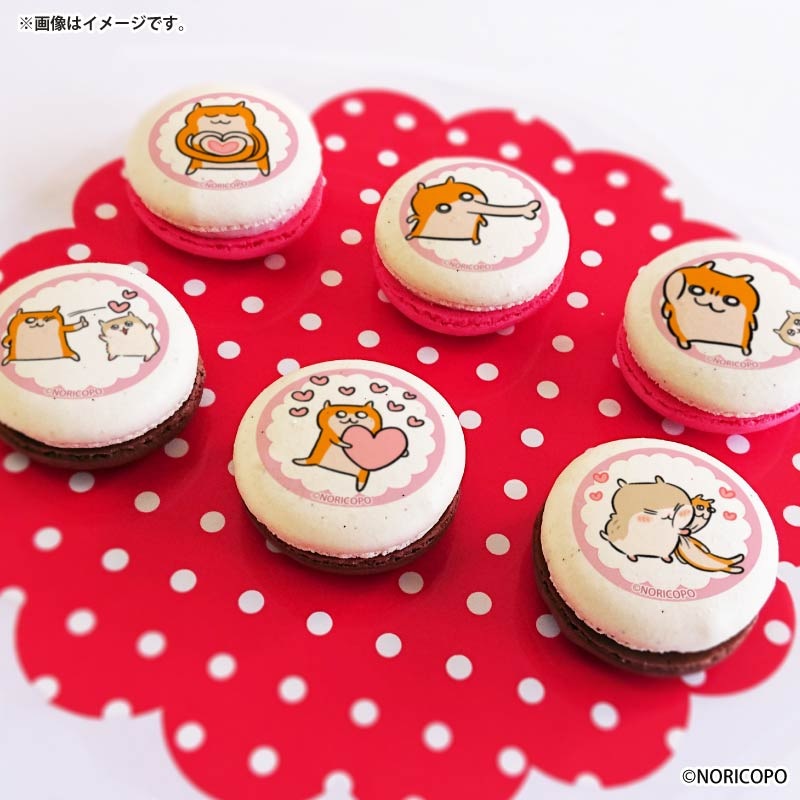 バレンタインプリマカロン6個セット2026（クソハムちゃん＆コビハム