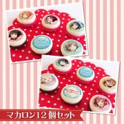 �Х�󥿥���ץ�ޥ�����12�ĥ��å�2026�ʽ���ˡ���ŵ���饹�ȥ������դ���[��֥饤�֡����󥷥㥤��!!]