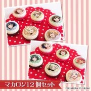 �Х�󥿥���ץ�ޥ�����12�ĥ��å�2026�ʽ���ˡ���ŵ���饹�ȥ������դ���[��֥饤�֡�������رॹ�����륢���ɥ�Ʊ����]