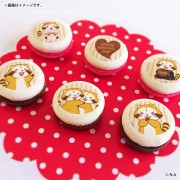 �Х�󥿥���ץ�ޥ�����6�ĥ��å�2026�ʥ饹�������ꥣ�ǥ�����ˡ���ŵ�̥Хå��դ���[�饹����]
