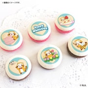 �ۥ磻�ȥǡ��ץ�ޥ�����6�ĥ��å�2026�ʥ֥롼�ǥ�����ˡ���ŵ�̥Хå��դ���[�饹����]