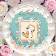 �ۥ磻�ȥǡ��ץꥱ����2026�ʥܥ��˥���ǥ�����ˡ���ŵ�̥Хå��դ���[�饹����]