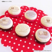 �Х�󥿥���ץ�ޥ�����6�ĥ��å�2026��B���ˡ���ŵ�̥Хå��դ���[���å���]