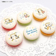 �����������ץ�ޥ�����6�ĥ��å�2026�ʥ��ɥ꡼�ǥ�����ˡ���ŵ�̥Хå��դ���[�饹����]