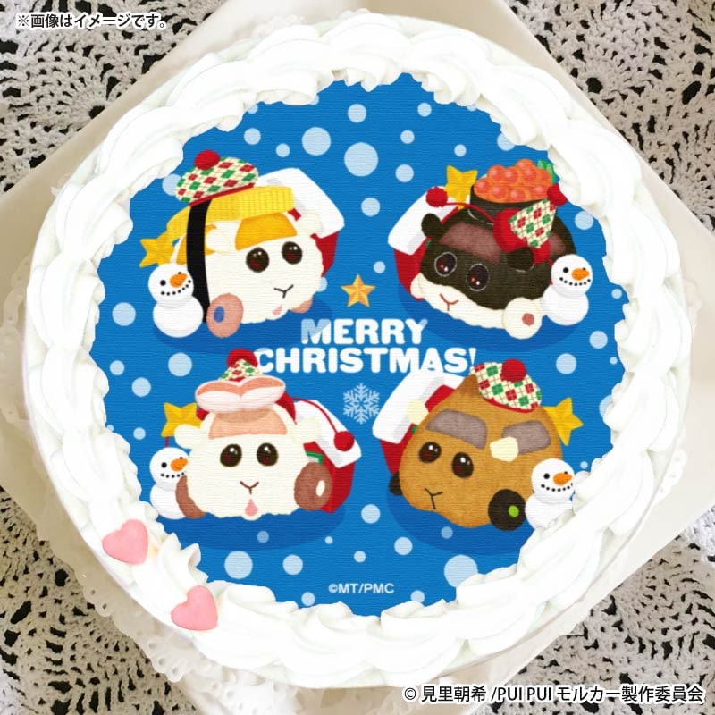 Xmasプリケーキ2025（寿司モルカー集合）【特典缶バッジ付き】[PUI PUI