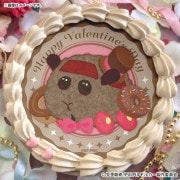 �Х�󥿥���ץꥱ����2026�ʥƥǥ��ˡ���ŵ�̥Хå��դ���[PUI PUI ��륫��]